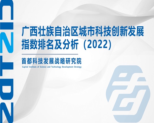 特黄片老头操老太太电影【成果发布】广西壮族自治区城市科技创新发展指数排名及分析（2022）